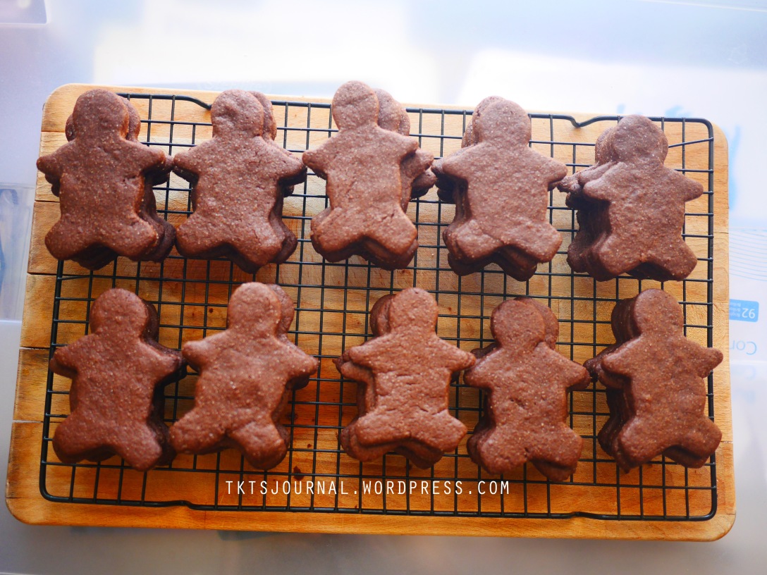 Blog_Chocolate Cookies